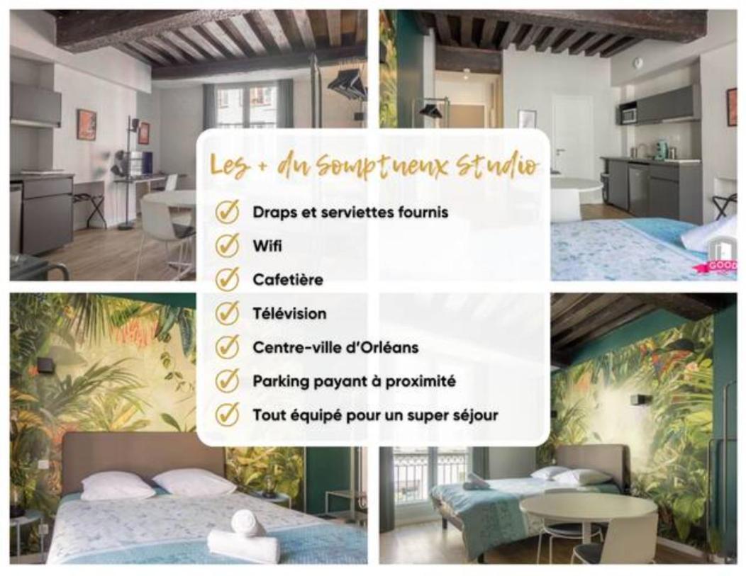 Somptueux Studio Hyper Centre Avec Wifi Apartment Orleans Exterior photo